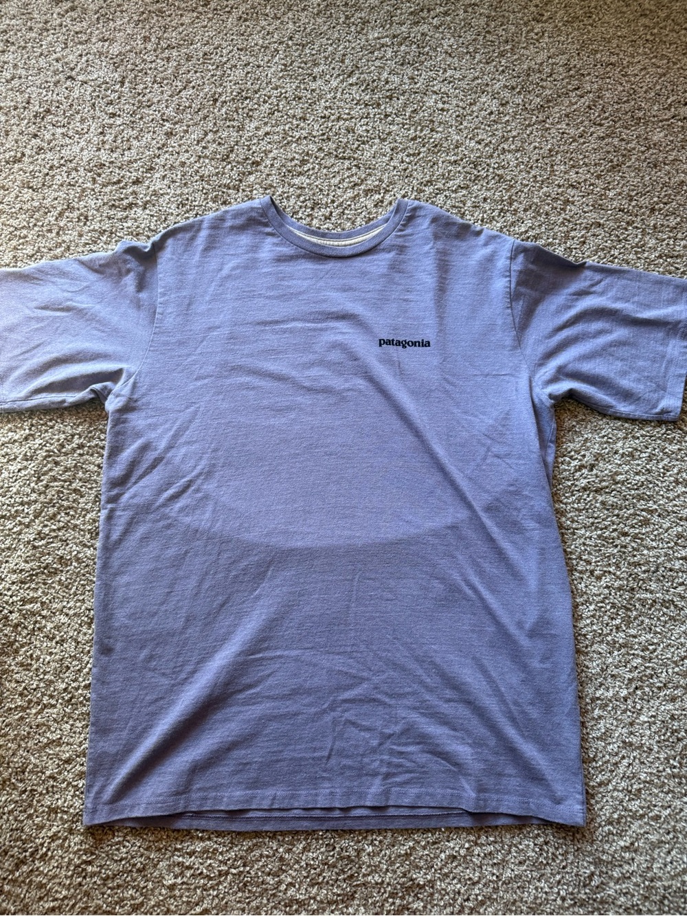 Patagonia Short-Sleeve Crew Tee in Lavender